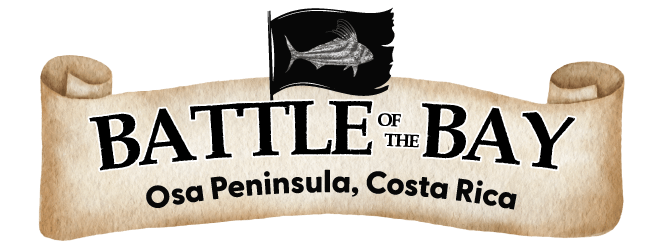 Battle of The Bay